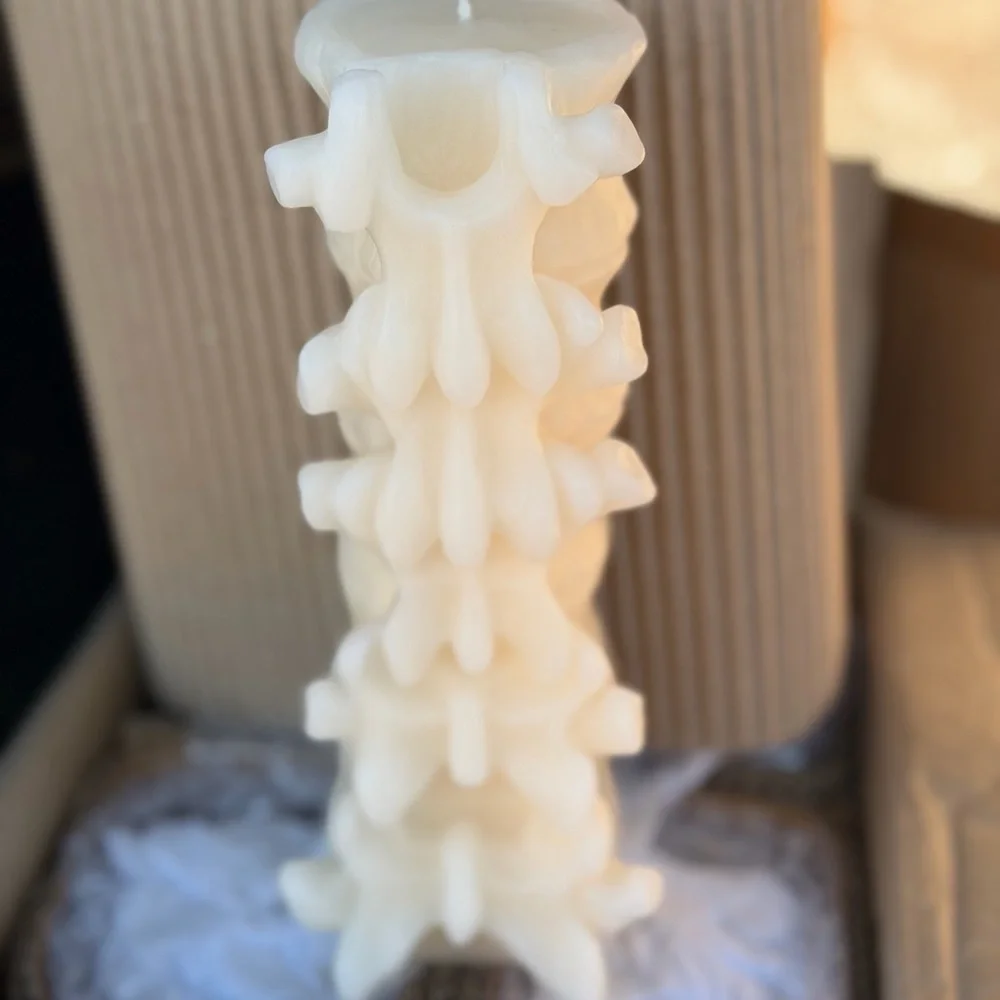 4 Threshold Vertebrae Spine Bone Back Pillar Candles and 4 Skull Velvet Runners